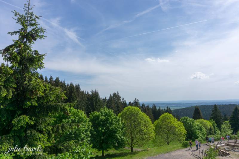 DSC04320