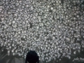 FullDome Festival Film - Bubbles
