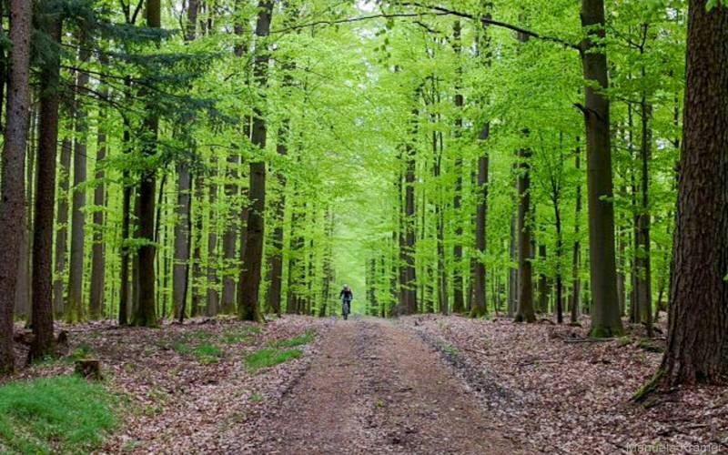 Mit dem Mountainbike im Spessart