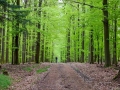 Mit dem Mountainbike im Spessart