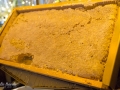 Frühstück Bio-Seehotel Zeulenroda