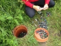 Geocaching_Cach_Schatz_copyright_Ronny Lippert