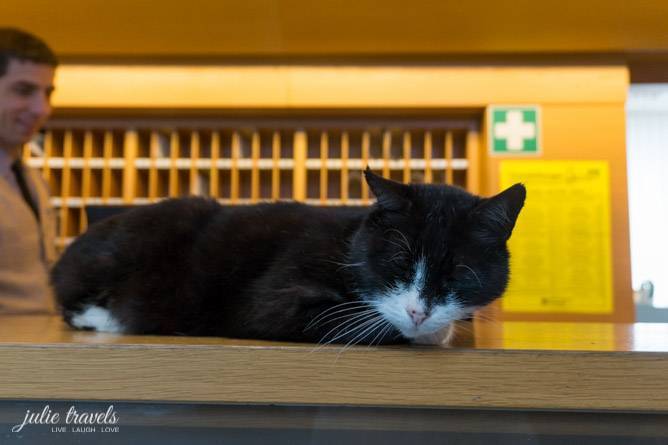 Hotel Kater Flo