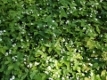 DSC00057.JPG