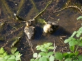 DSC00112.JPG