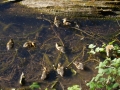 DSC00113.JPG