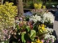 DSC00121.JPG