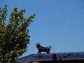 DSC00059.JPG