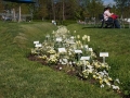 DSC00073.JPG