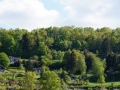 DSC00079.JPG