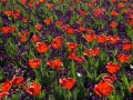 DSC00089.JPG