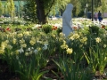 DSC00098.JPG