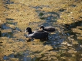 DSC00105.JPG