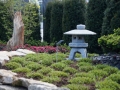 DSC00020.JPG