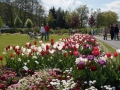DSC00037.JPG