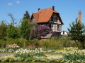 DSC00056.JPG