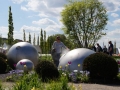 DSC09993.JPG