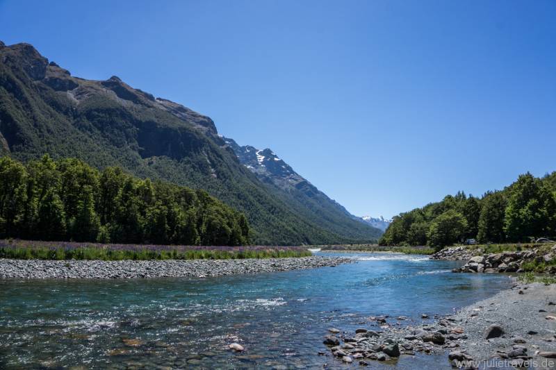 Ein natürliches Flussbett