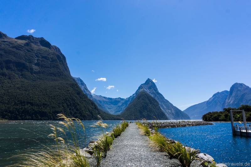 Milford Sound Steg