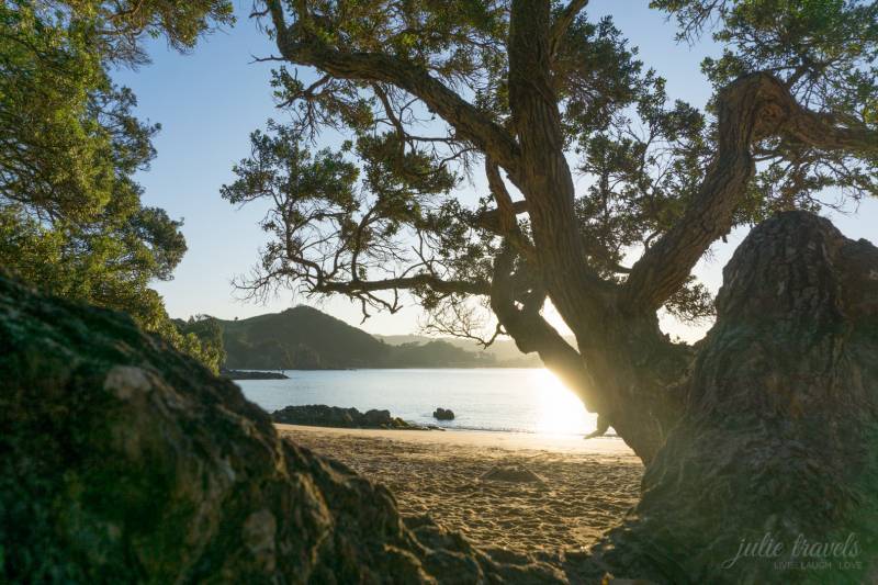Whale Bay
