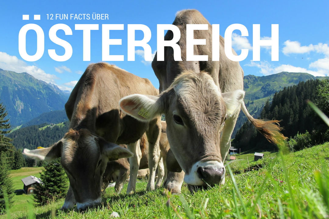 12 fun facts über Österreich