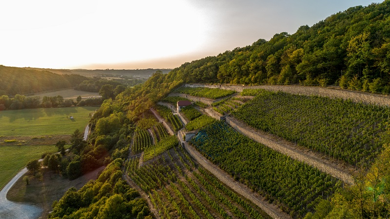 Blick aus der Vogelperspektive auf die Bad Sulzaer Weinberge
